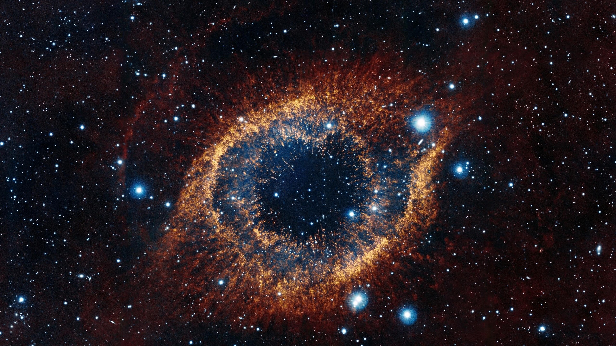 Blog Post Image
